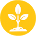 Organic Business Growth